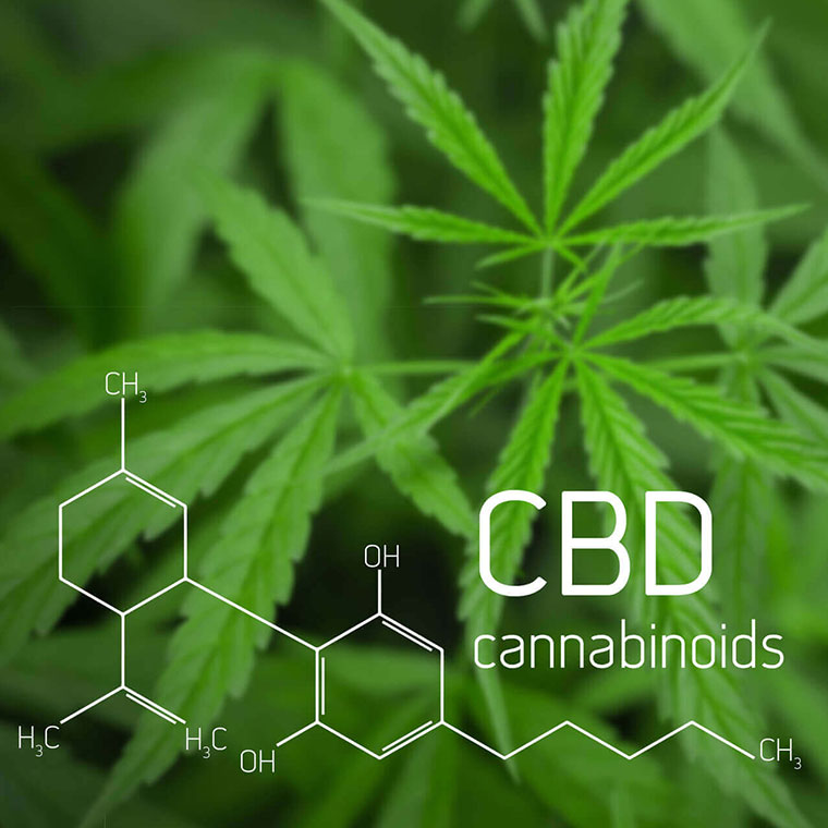 CBD「PharmaHemp」CBDオイル_CannaCare_CBDオイル_CBD1000mg/30ml