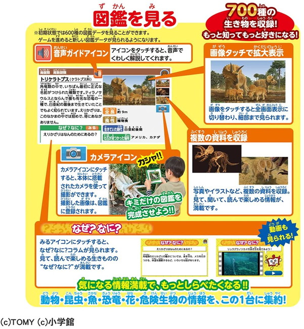 7月29日発売 予約商品 小学館の図鑑neopaddx Dwellingplaceint Org