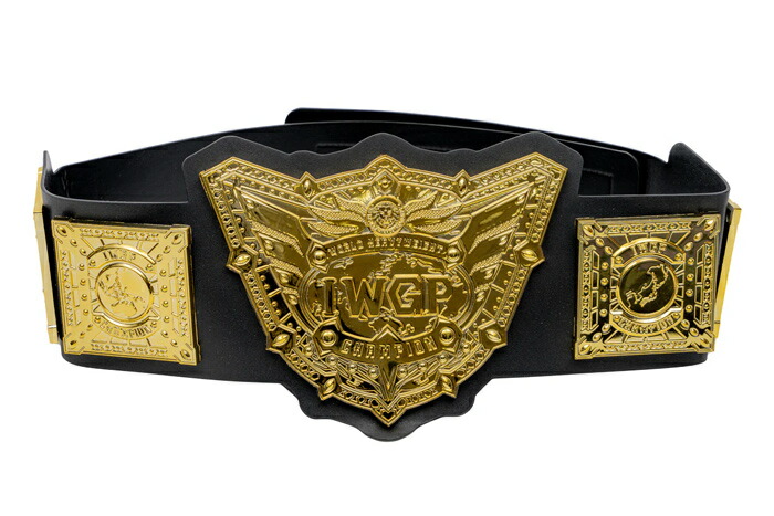 チャンピオンベルト 専用バック付き Amazon.co.jp: WWE レスリング チャンピオン ベルト バック