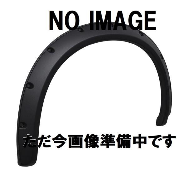 ミニ フロントオーバーフェンダー 右 R50 R52 R53 51131505866 純正品