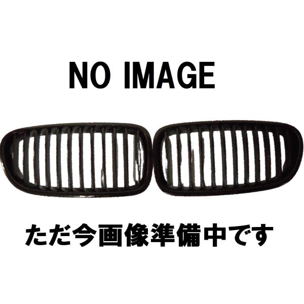 BMW ラジエターグリル 右 シルバー X1 F48 51117383366 純正品