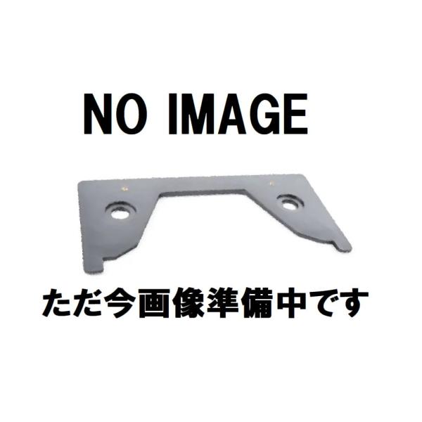 BMW ミニ リアライセンスプレートベース 3シリーズ E91 X3 F25 X4 F26 F57 コンバーチブル R56 ミニ 51182757048 純正品