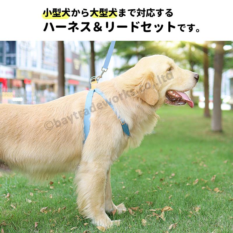 楽天市場 犬 ハーネス カラフル リード付き 首輪 犬 小型犬 中型犬 大型犬 散歩 Bayt