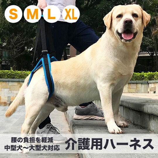 楽天市場 介護用ハーネス 後足専用 老犬 介護 歩行補助 ベルト リハビリ 介護 障害犬 犬用 Bayt