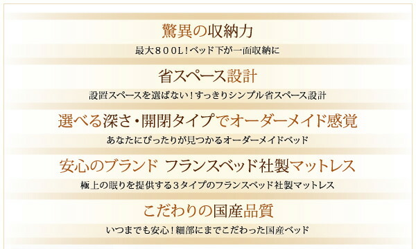 収納ベッド プラティーク 国産跳ね上げ 組立設置付き シングル ラージ 横開き 国産跳ね上げ収納付きベッド 国産跳ね上げ収納付きベッド 組立設置 組立設置付き 国産跳ね上げ マットレス付き シングルベッド マットレス付き デュラテクノマットレス付 シングルベッド