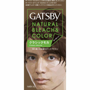 【３６個仕掛ける】【１入れもの分】 ギャツビー ナチュラルブリーチカラー 古典派音楽モカ(1仕掛ける)×３６個仕掛ける １入れもの分 【置き目品】【dcs】
