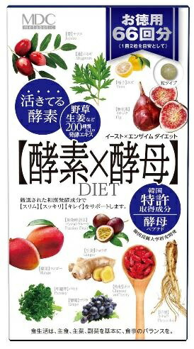 【４８個セット】メタボリック イースト×エンザイムダイエット　66回分 132粒×４８個セット　２ケース分【正規品】 ※軽減税率対象品