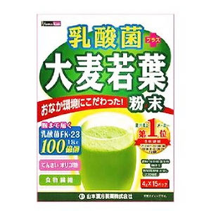【２０個セット】【１ケース分】乳酸菌 大麦若葉 4g×15包×20個セット　１ケース分　【正規品】 ※軽減税率対象品
