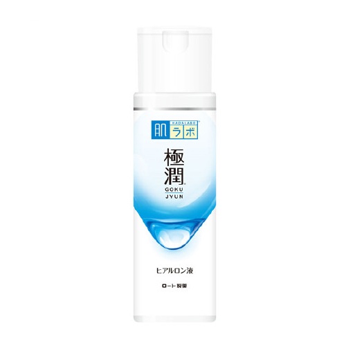 【４８個仕掛ける】【１入れもの分】 肌科学研究所 極潤 ヒアルロン液 170ml×４８個仕掛ける １入れもの分 【置き目品】【dcs】