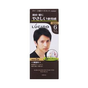 【２４個セット】【１ケース分】 ルシード ワンプッシュケアカラー 6 ダークブラウン 50g+50g×２４個セット　１ケース分 【正規品】【dcs】