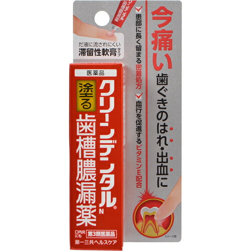 【第3類医薬品】【１０個セット】 クリーンデンタルN 歯槽膿漏薬 8g×１０個セット 【正規品】