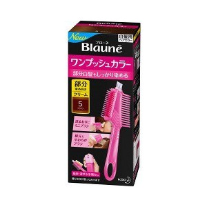 【２４個セット】【１ケース分】 ブローネ ワンプッシュカラー 5 ブラウン 80g×２４個セット　１ケース分　【正規品】