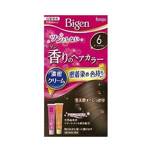 【27個セット】【1ケース分】 ビゲン 香りのヘアカラー クリーム 6 ダークブラウン 1セット×27個セット 1ケース分 【正規品】【dcs】|キュー バザール
