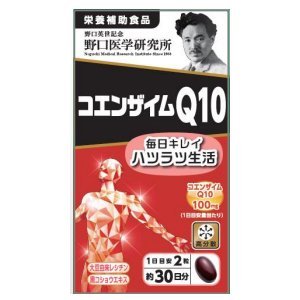 野口医学研究所 コエンザイムQ10 60粒 ×１０個セット ※軽減税率対象品