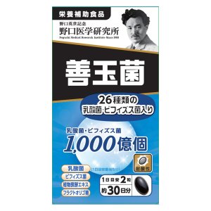 【２０個セット】野口医学研究所 善玉菌 60粒&times;２０個セット 【正規品】 ※軽減税率対象品【t-k5】｜キュー バザール