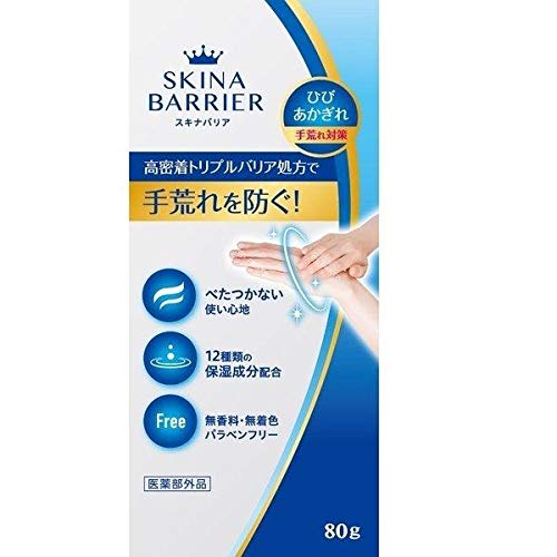 【２０個仕掛ける】 スキナバリア 80g×２０個仕掛ける【置き目品】