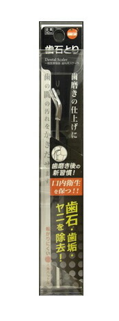 【20個セット】 オレンジケアプロダクツ 歯石とり 1個×20個セット【正規品】|キュー バザール