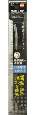 【１０個セット】 オレンジケアプロダクツ 歯間ようじ 1個×１０個セット【正規品】
