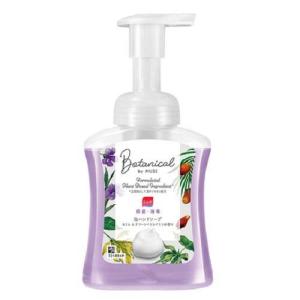 【２４個セット】【１ケース分】 薬用せっけん ミューズ 泡ハンドソープ ボタニカル 本体 ボトル(250ml) &times;２４個セット　１ケース分【正規品】【mor】【ご注文後発送までに2週間以上頂戴する場合がございます】｜キュー バザール