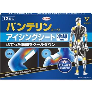 【４０個仕掛ける】【２入れもの分】 バンテリンコーワ アイシングザパック居敷き 落ち居る専用 １２枚入×４０個仕掛ける  ２入れもの分【置き目品】【k】【ご申しつける後送りとどけるまでに1週前後もらい受けるする切っ掛けがございます】