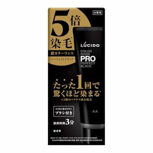 【３６個仕掛ける】【１入れもの分】 ルシードカラーリンスPRO 完全無欠黒いこと120g×３６個仕掛ける １入れもの分【置き目品】