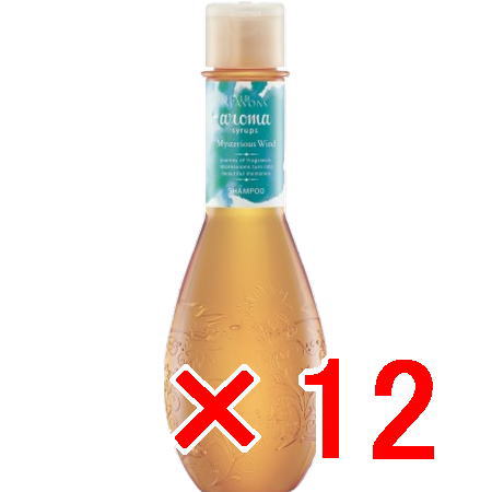 ☆【送料無料】 デミコスメティクス ／ ヘアシーズンズ アロマシロップス シャンプー ミステリアスウィンド 250ml 【12個】｜B.B ／ BEAUTY.BEAUTY