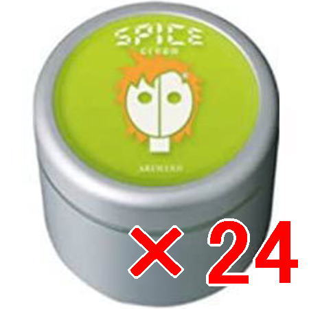 ☆【送料無料】 アリミノ arimino ／ スパイス クリーム ＆ シスターズ ハードワックス 100g 【24個】