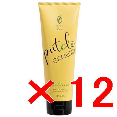 ☆【送料無料】 プテロ putelo ／ AR ヘア ＆ スカルプ パック グランディール 240g 【12個】／ スカルプ トリートメント ／ 頭皮｜B.B ／ BEAUTY.BEAUTY