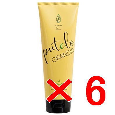 ☆【送料無料】 プテロ putelo ／ AR ヘア ＆ スカルプ パック グランディール 240g 【6個】／ スカルプ トリートメント ／ 頭皮