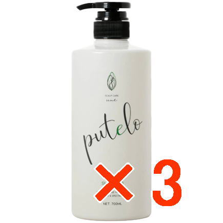 ☆【送料無料】 プテロ putelo ／ AR シャンプー 700mL 【3個】／ スカルプシャンプー ／ 新鮮な植物エキスをたっぷり配合した生シャ｜B.B ／ BEAUTY.BEAUTY