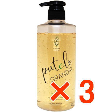 ☆【送料無料】 プテロ putelo ／ AR シャンプー グランディール 700ml 【3個】／ スカルプシャンプー ／ フレッシュな植物エキス