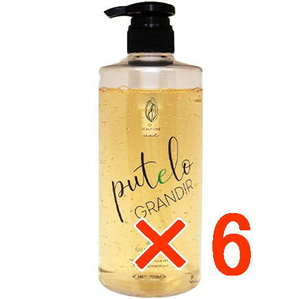 ☆【貨物輸送無料】 プテロ putelo ／ AR シャンプー グランディール 700ml 【6個】／ スカルプシャンプー ／ 生新しいな草木抽出エキス