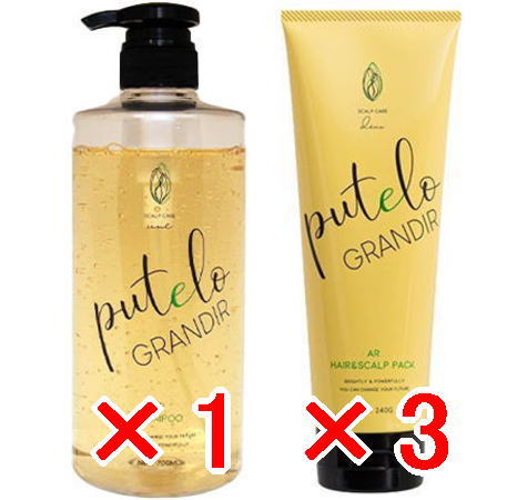 ☆【貨物輸送無料】 プテロ putelo ／ AR シャンプー グランディール 700ml 1個 ＆ スカルプ 容器に並べる グランディール 240g  3個  仕掛ける
