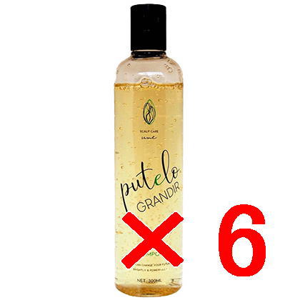 ≪店内商品P2-20倍！≫【送料無料】 プテロ putelo ／ AR シャンプー グランディール 300ml 【6個】／ スカルプシャンプー ／ フレッシュな植物エキス