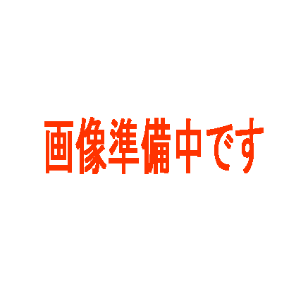 ☆【送料無料】 ベルローネ ／ PPT Roa-sp シルク 1L