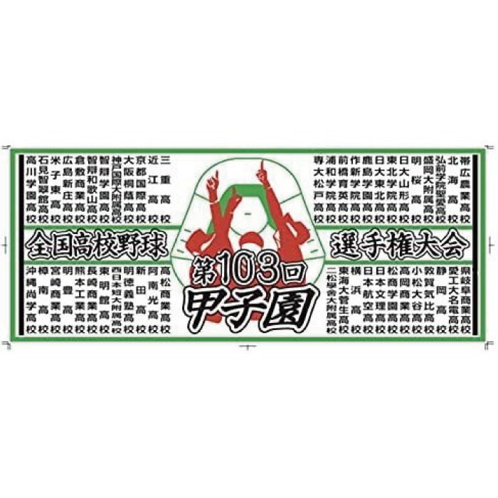 京都国際甲子園タオル 高校野球 甲子園出場記念タオル