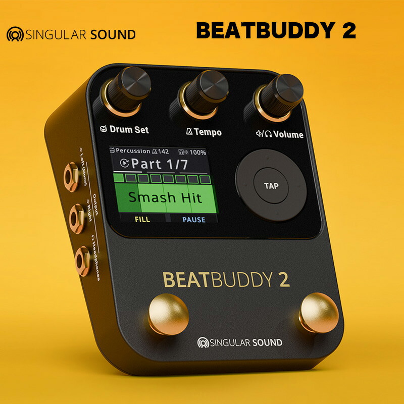 楽天市場】Singular Sound シンギュラーサウンド | BeatBuddy MINI 2