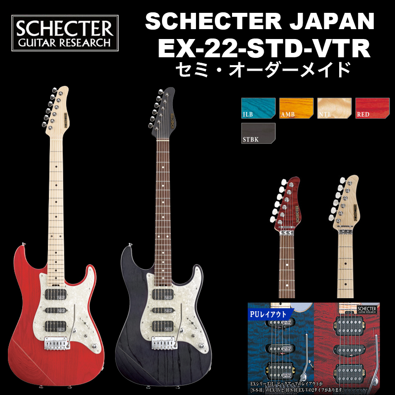 楽天市場】シェクター SCHECTER JAPAN / SCHECTER EX-24-STD-FRT 