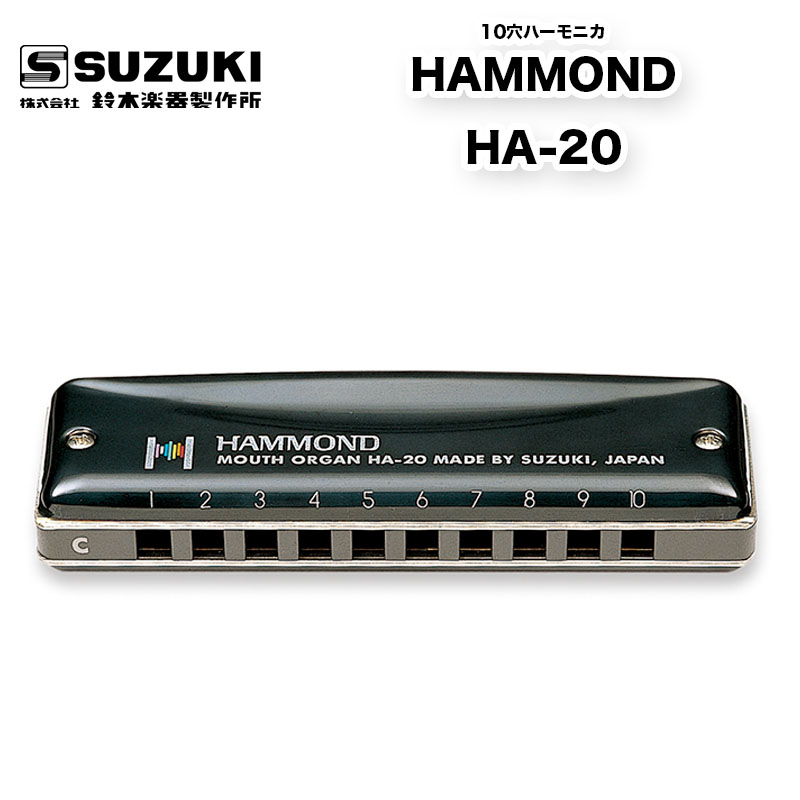 直営限定アウトレット その他のハーモニカ C-20-HG Other Harmonica