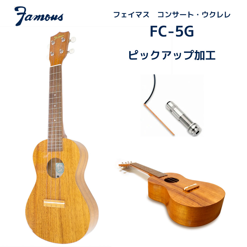 超美品 ウクレレ フェイマス FS-5G ケース・スタンド付 Famous