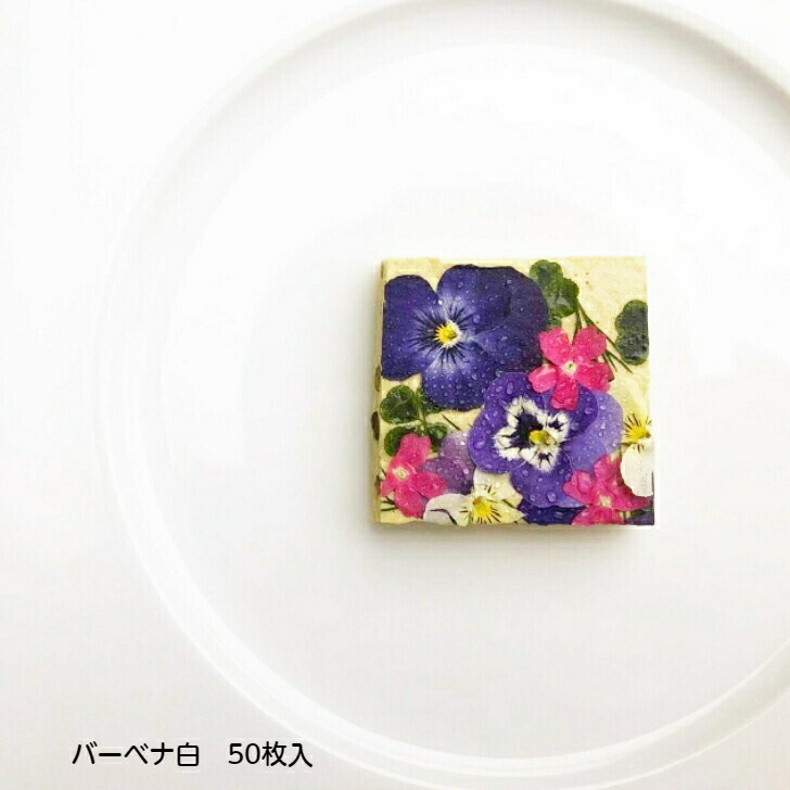 楽天市場 手作り 食用花 食べるおしばな せんにちこう 紫色 3ｇ エディブルフラワー ドライフラワー 全国送料無料 賞味期限1年 無農薬 国産 ケーキ スイーツ クッキー 飾り 花 国産 押し花 ドライフラワー Bonheur Shop