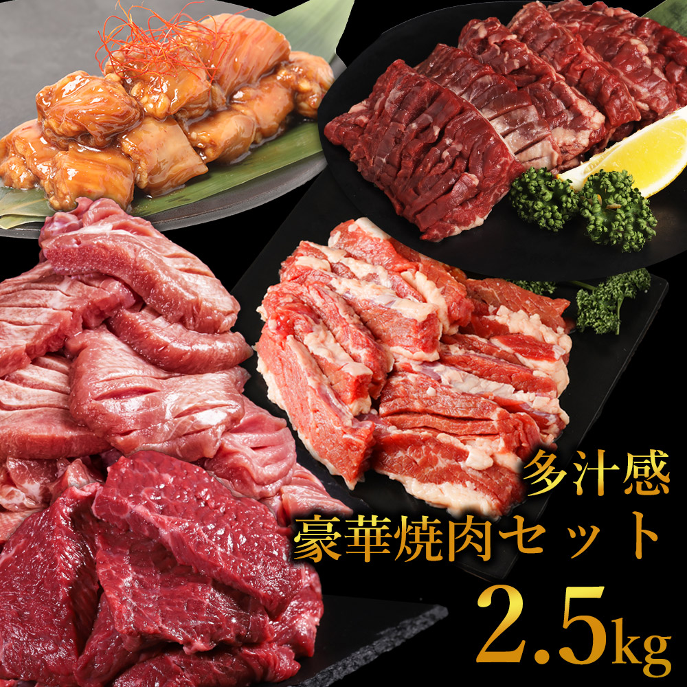 【クーポンで50％OFF！27日9：59まで】 焼肉セット メガ盛 福袋 2.5kg 訳あり バーベキュー 肉 食品 BBQ 肉福袋 お肉 2025 詰め合わせ ホームパーティー グルメ 送料無料