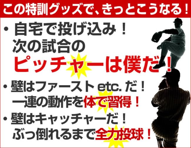 楽天市場 最大2千円オフクーポン 野球 投球 守備練習用 壁あてネット 壁当て ピッチング 壁ネット Fkb 1384g フィールドフォース トレーニング ラッピング不可 野球用品ベースボールタウン