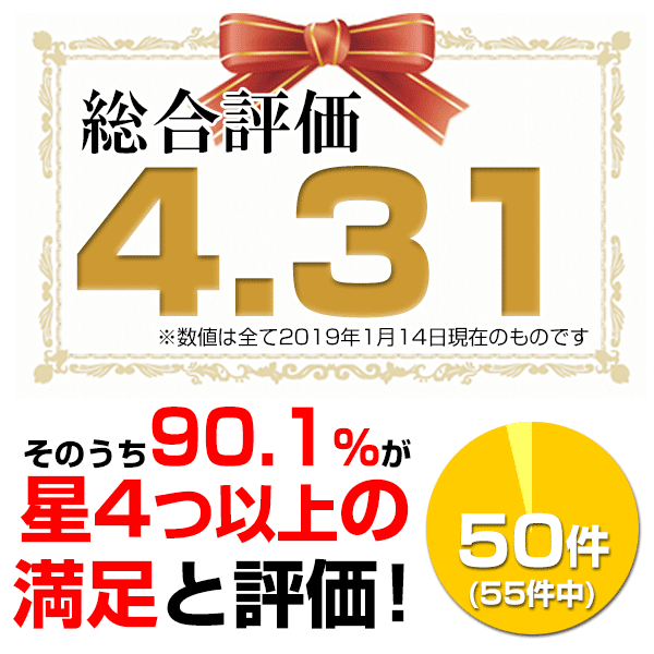 最大10 引クーポン 電池おまけ 2wayエンドレステニス練習マシン マシン ネットセット テニストレーナー 硬式テニス 軟式テニス ソフトテニス 電動球出し機 アダプター対応 ラッピング不可 Sermus Es