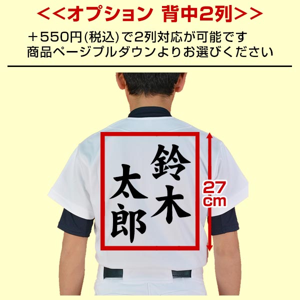 名前入り 名入れ 野球 少年用 ユニフォーム 上下セット ミズノ ネームプリント 練習着 ジュニア シャツ レギュラーパンツ 丈夫 防汚 ラバープリント マーク ネーム入り ウェア 男の子 女の子 キッズ Napierprison Com