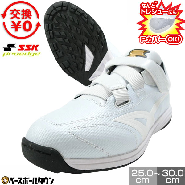 BBCH BASEBALL CHAMP/ベイスボール形づくるグッズ