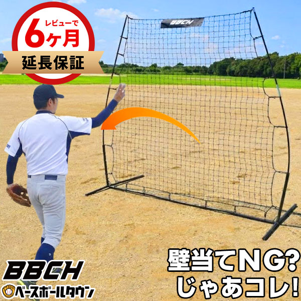 楽天市場】【2枚セット】 野球 練習 補修ネット 約30×23cm