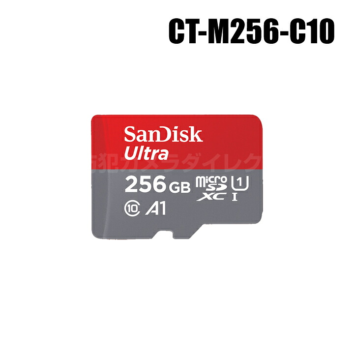 【電子メイル便可】防犯写真機 SanDisk microSDXC歌留多 256GB Class10【CT-M256-C10】