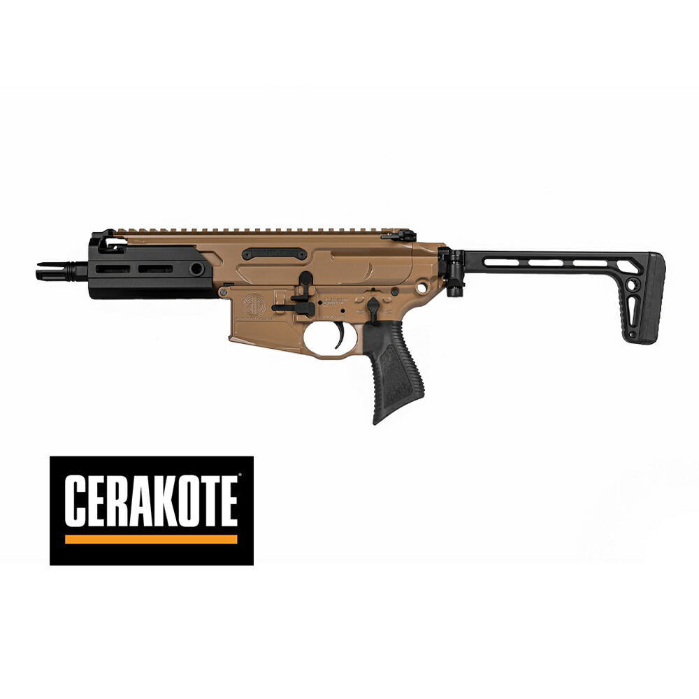 楽天市場】【新品 予約受付中 オマケ付 2025/11入荷予定】[Salvo