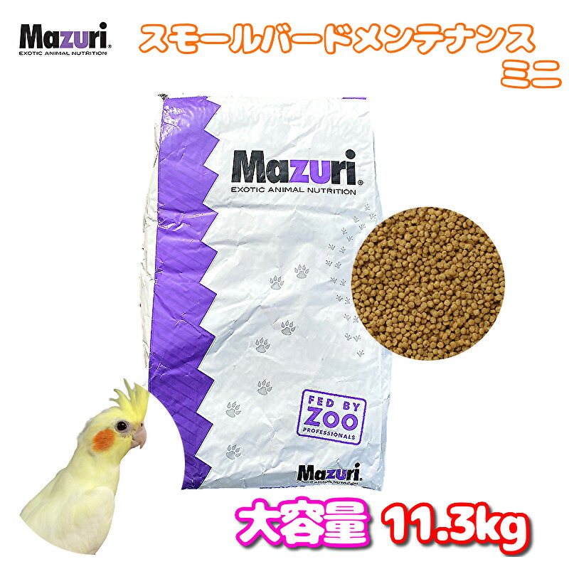 定番 Ｍａｚｕｒｉ パロットメンテナンス 500ｇ ienomat.com.br